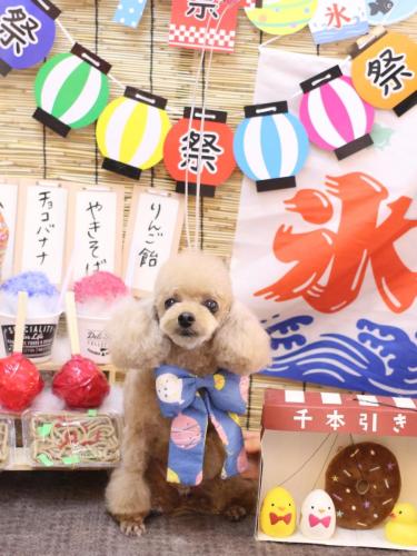 20240711ココちゃん